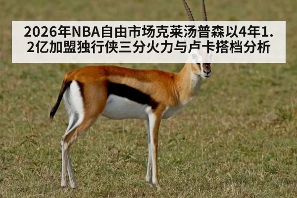 2026年NBA自由市场克莱汤普森以4年1.2亿加盟独行侠三分火力与卢卡搭档分析