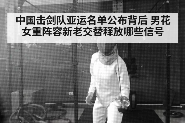 fencer epee mask